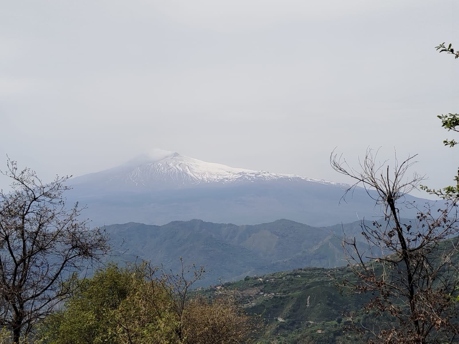 IMG-20250413-WA0051